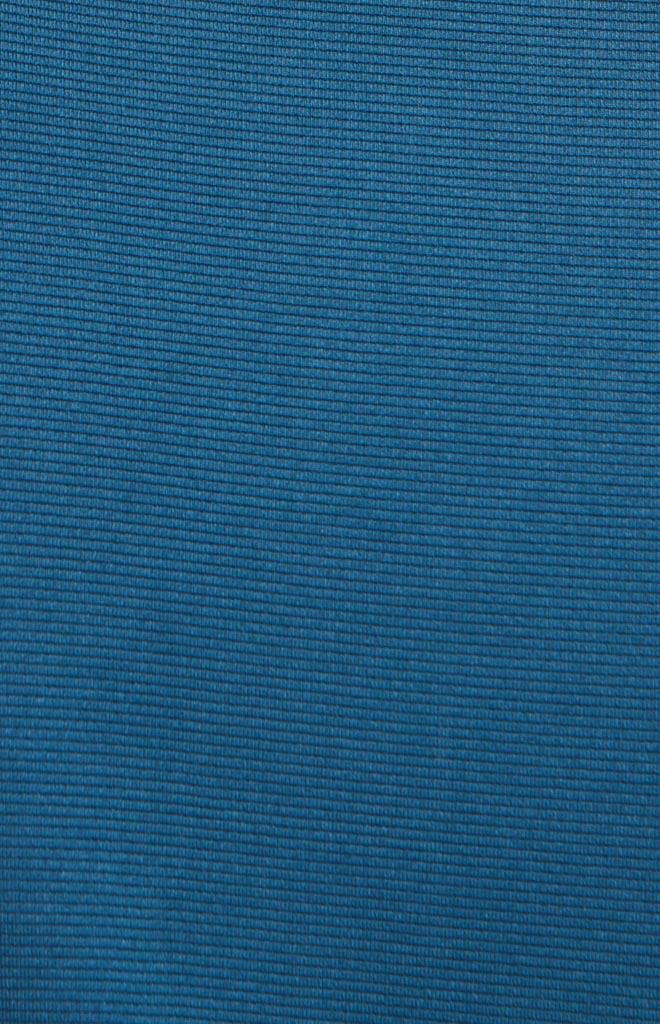 Blue Wing Teal