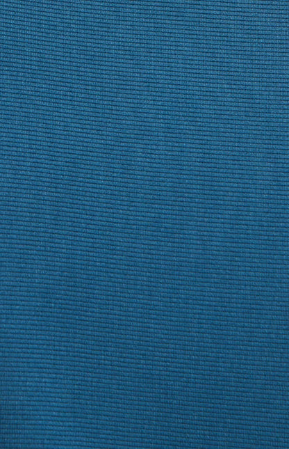 Blue Wing Teal